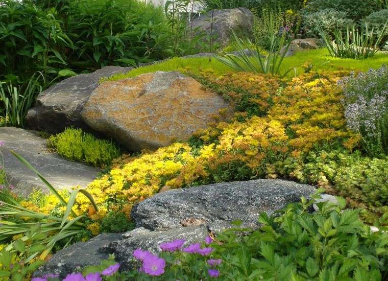 jardins japonais photo plantes pierres