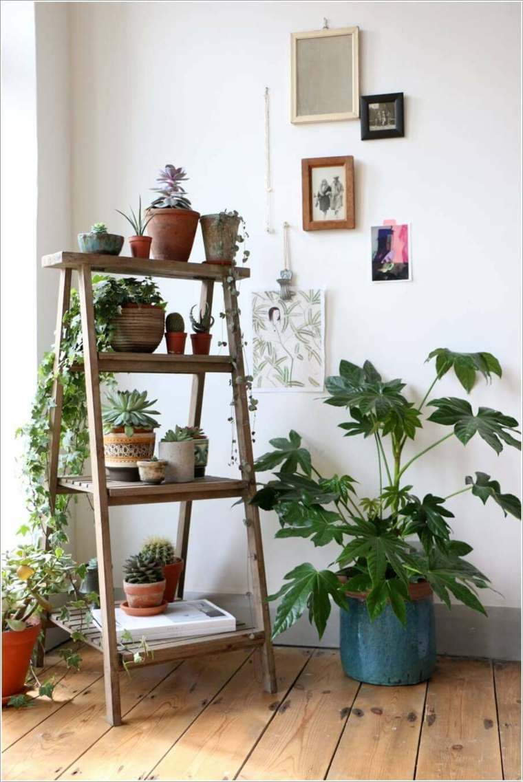 plantes d'intérieur disposees en hauteur