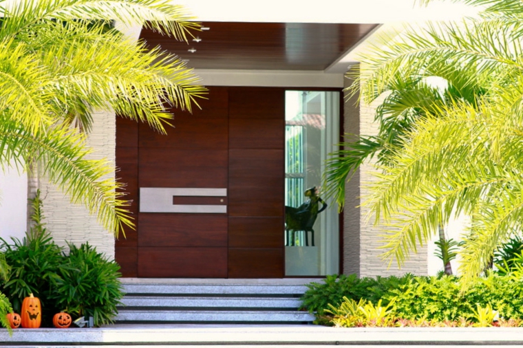 portes d'entrée design bois moderne aménager extérieur 