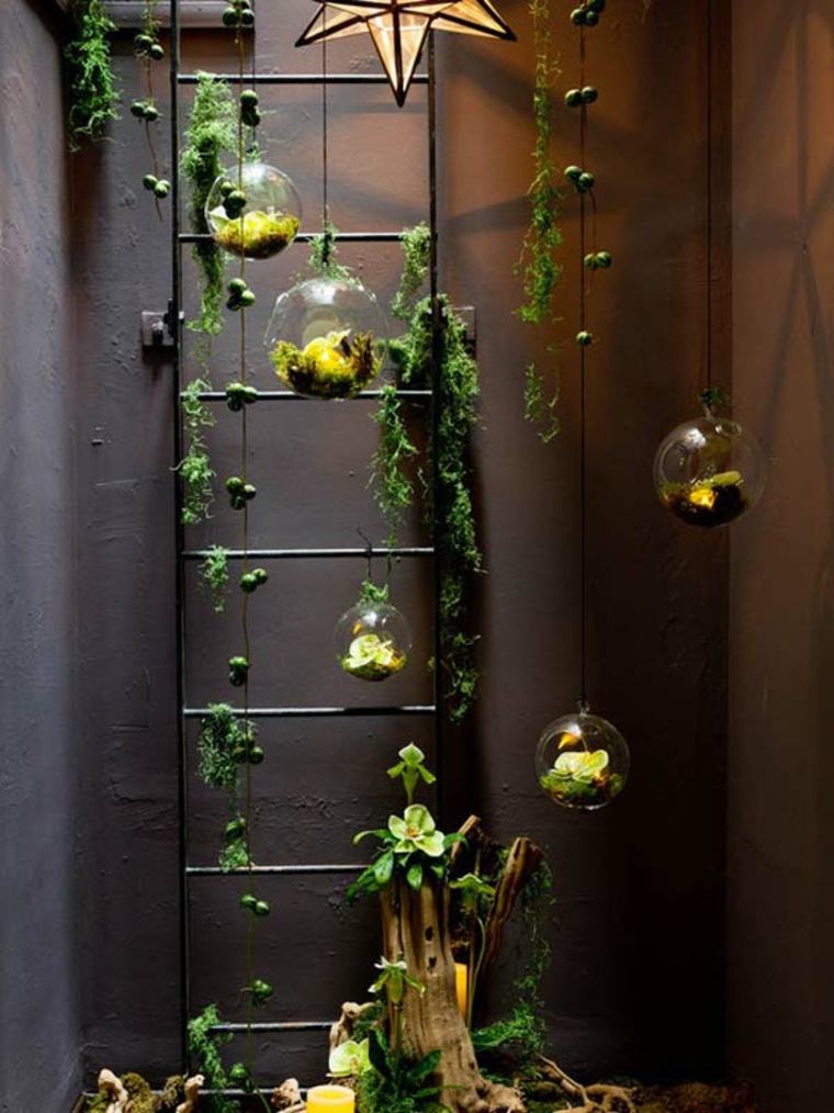 superbes plantes d'intérieur terrariums suspendus