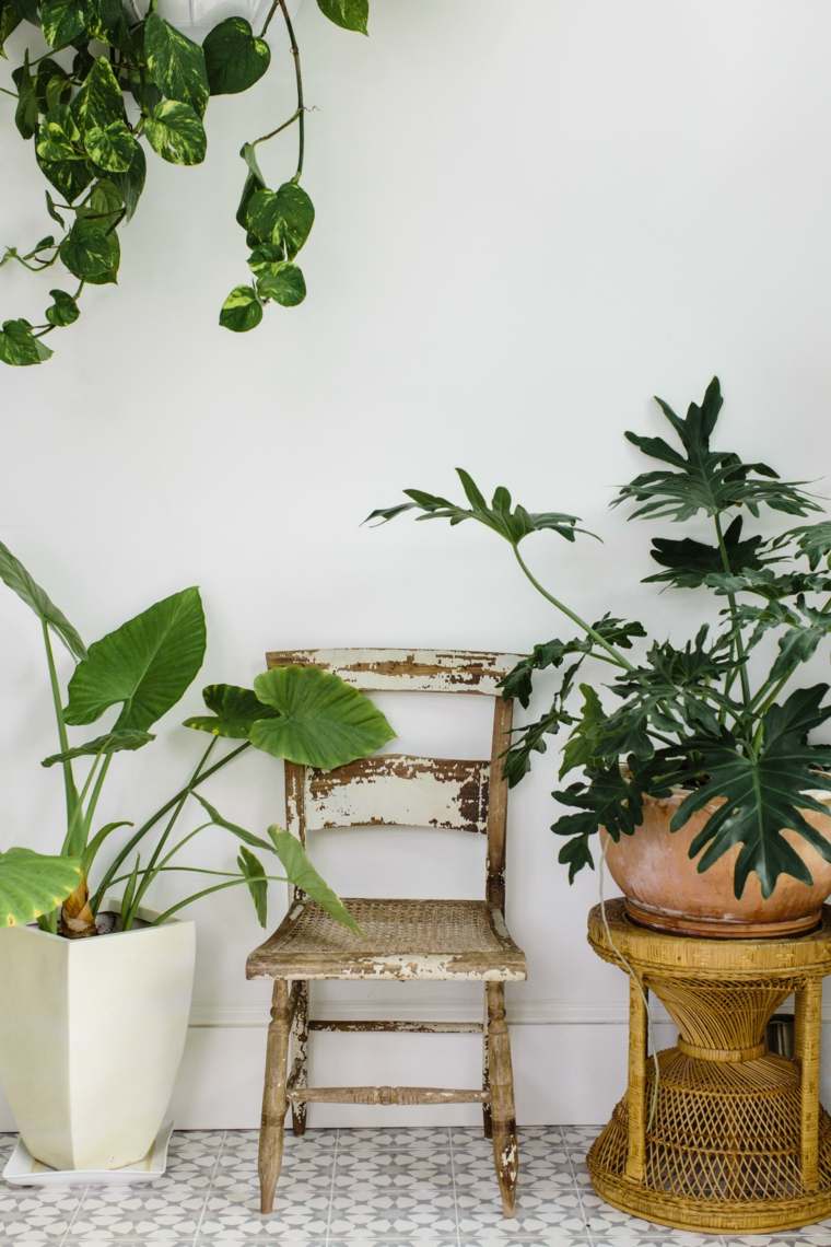 veranda idee decoration pot de plante d'interieur