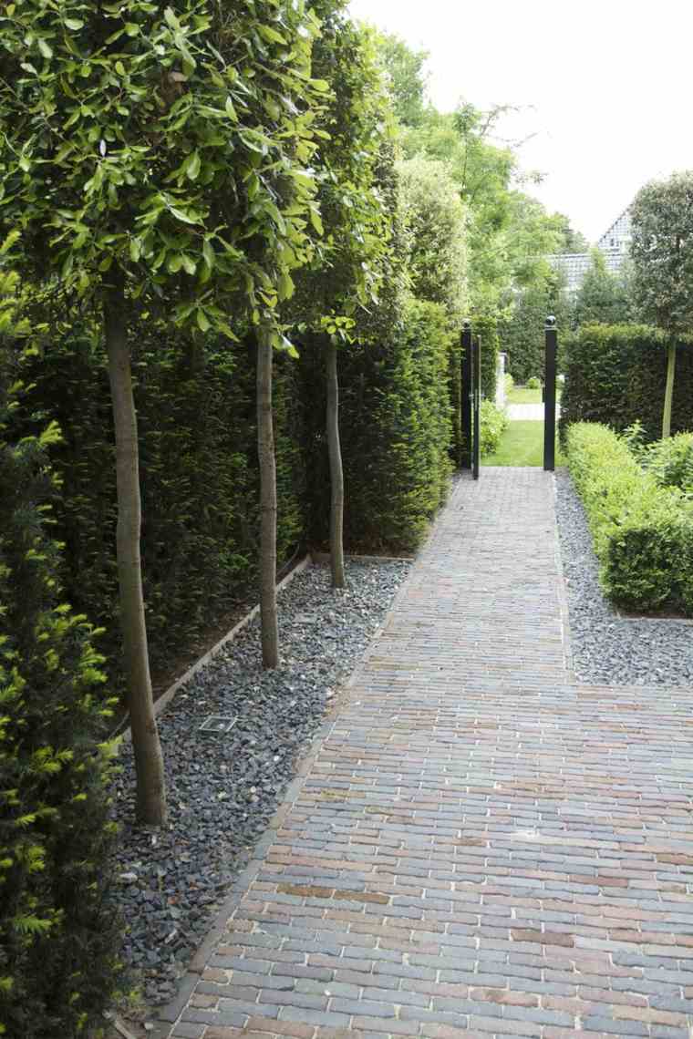 idee plantes exterieur moderne allee