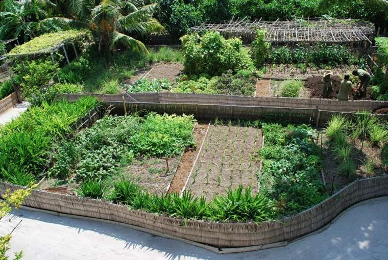 aménagement jardin extérieur idees deco permaculture