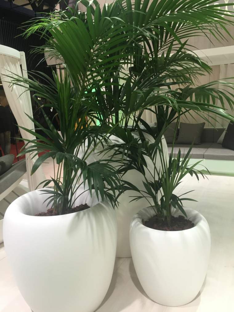 grands pots blancs avec palmiers