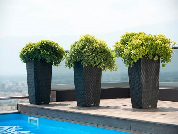 idée jardin piscine decoration pot de plante