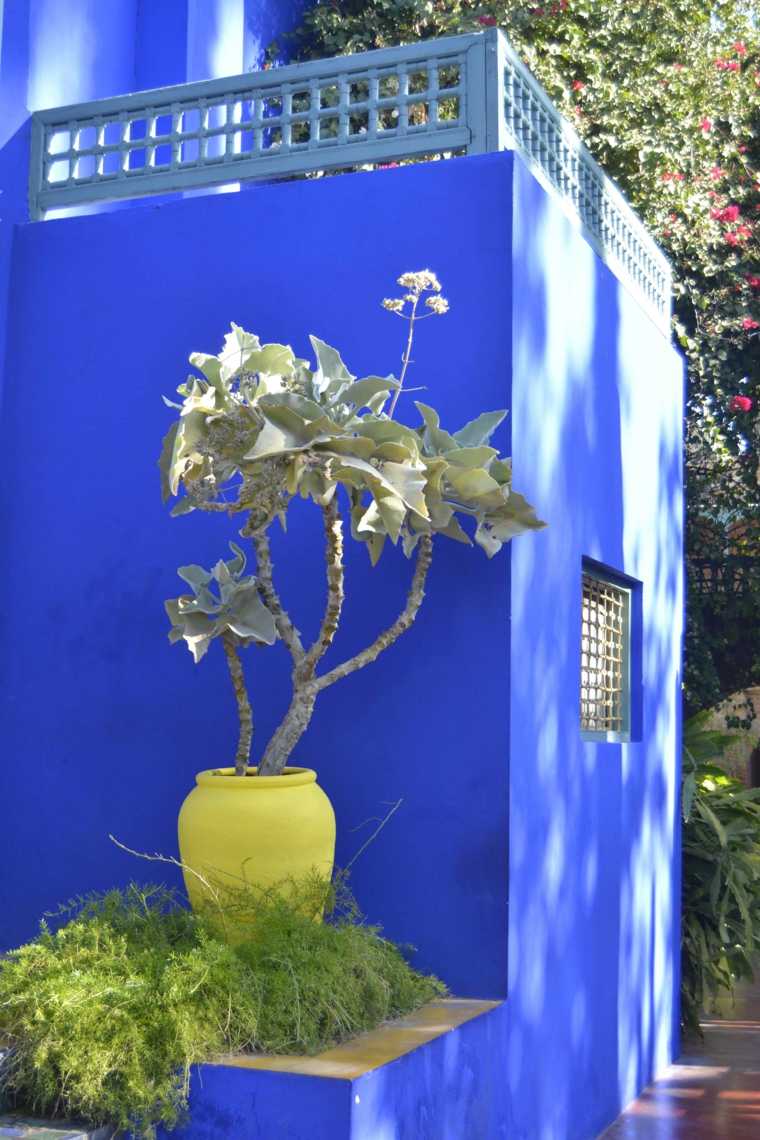 idées jardin decoration pots plante-exterieur