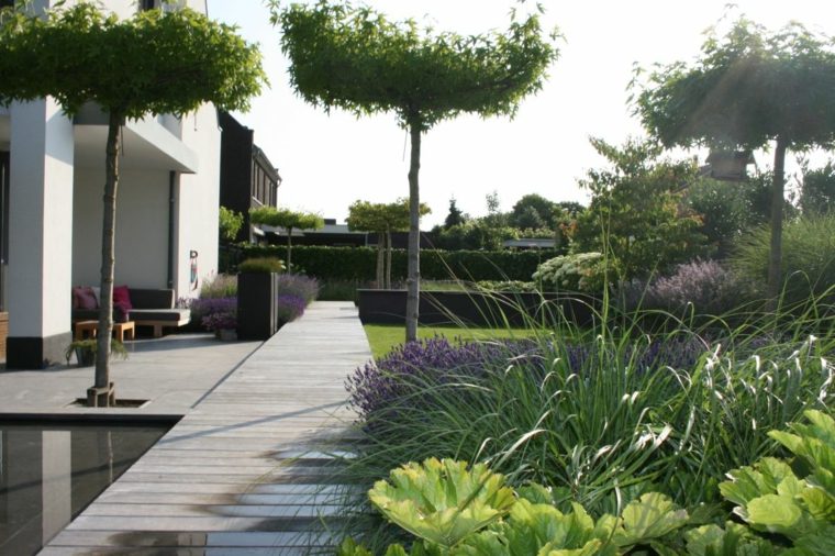 jardin paysager plantes exterieur style zen