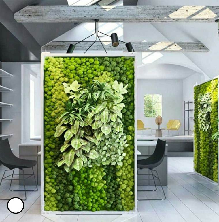 jardin vertical idees plantes vertes