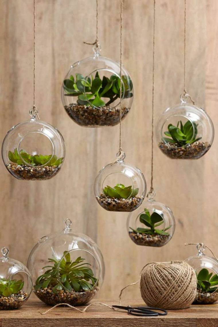 mini terrariums plantes sans terre
