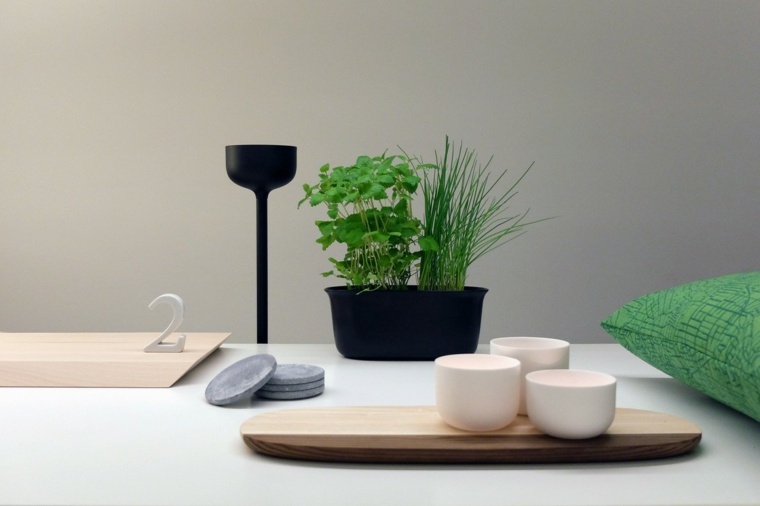 objet design moderne intérieur plante décoration salon