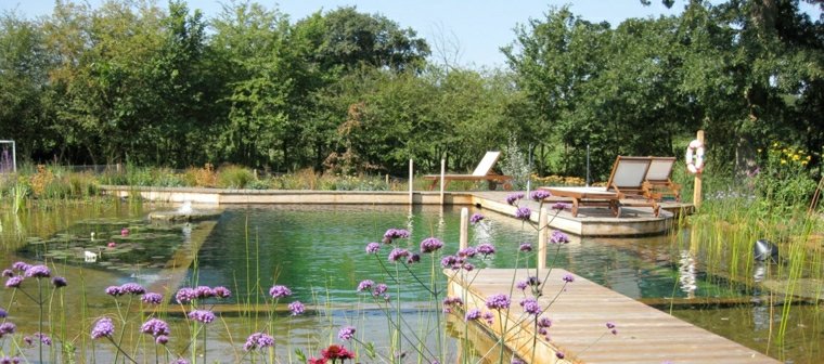 idee bassin aquatique amenagement paysager jardin