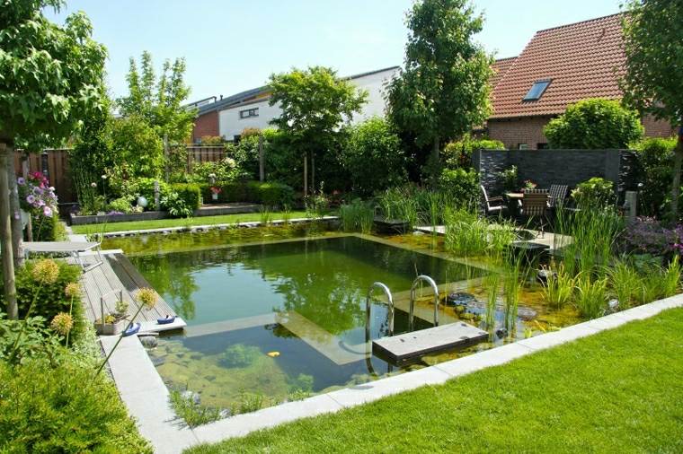 bassin aquatique plantes jardin paysager
