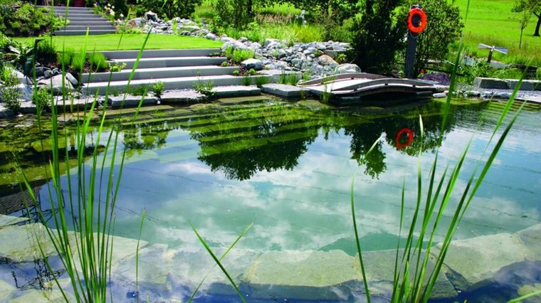 point d'eau amenagement paysager jardin aquatique