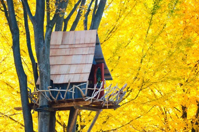 cabane arbre maison dans les bois