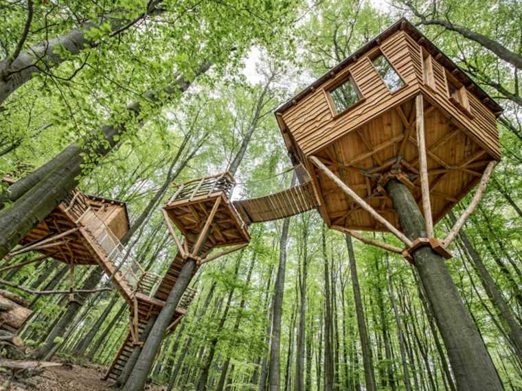 cabanes des arbres fabriquer maison bois
