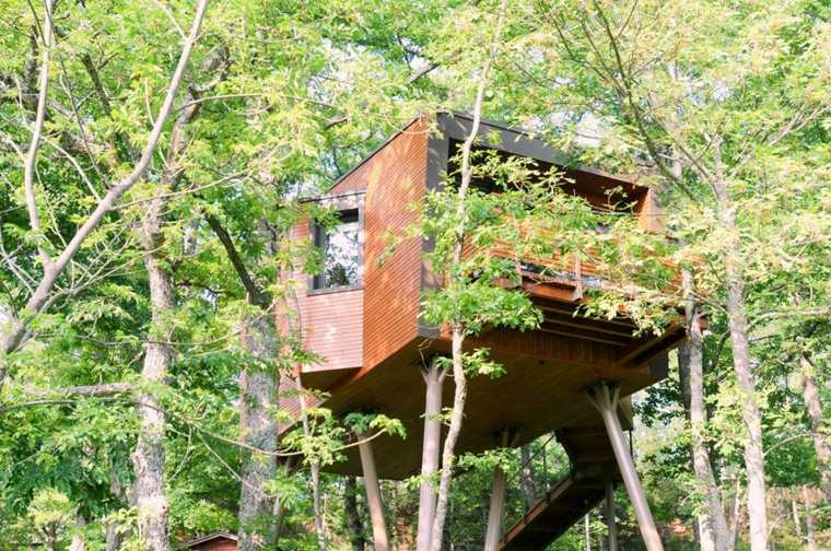 fabriquer une maison bois arbres cabane jardin exterieur