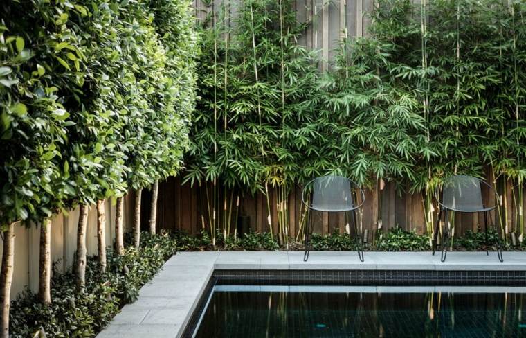 piscine bordée par bambou