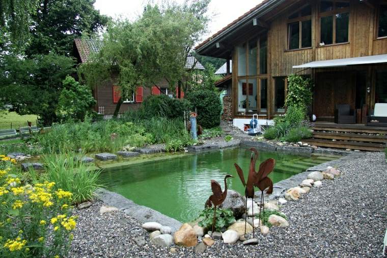 piscines naturelles idee jardin bassin eau