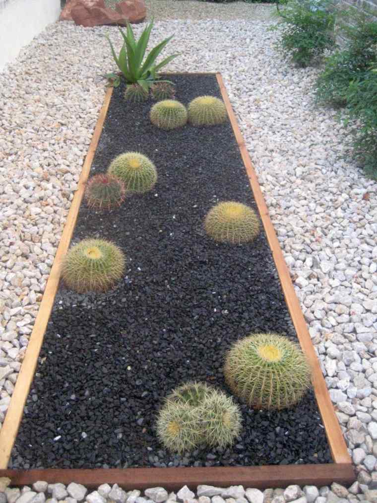 bac délimité avec cactus