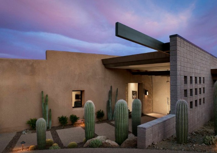 cactus jardin exterieur entree maison 