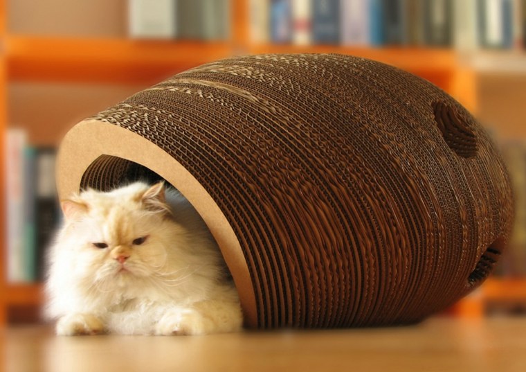 maison panier chat design accessoires deco