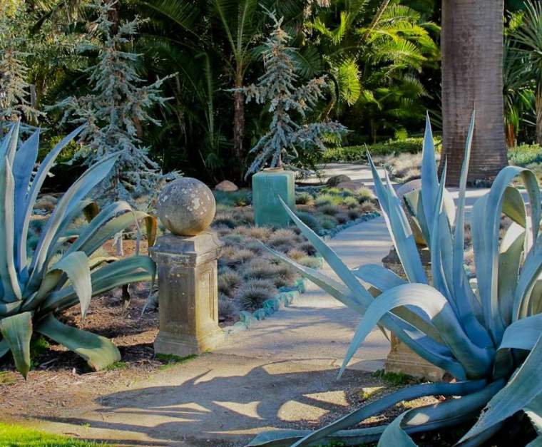 cactus exterieur amenager un jardin paysager