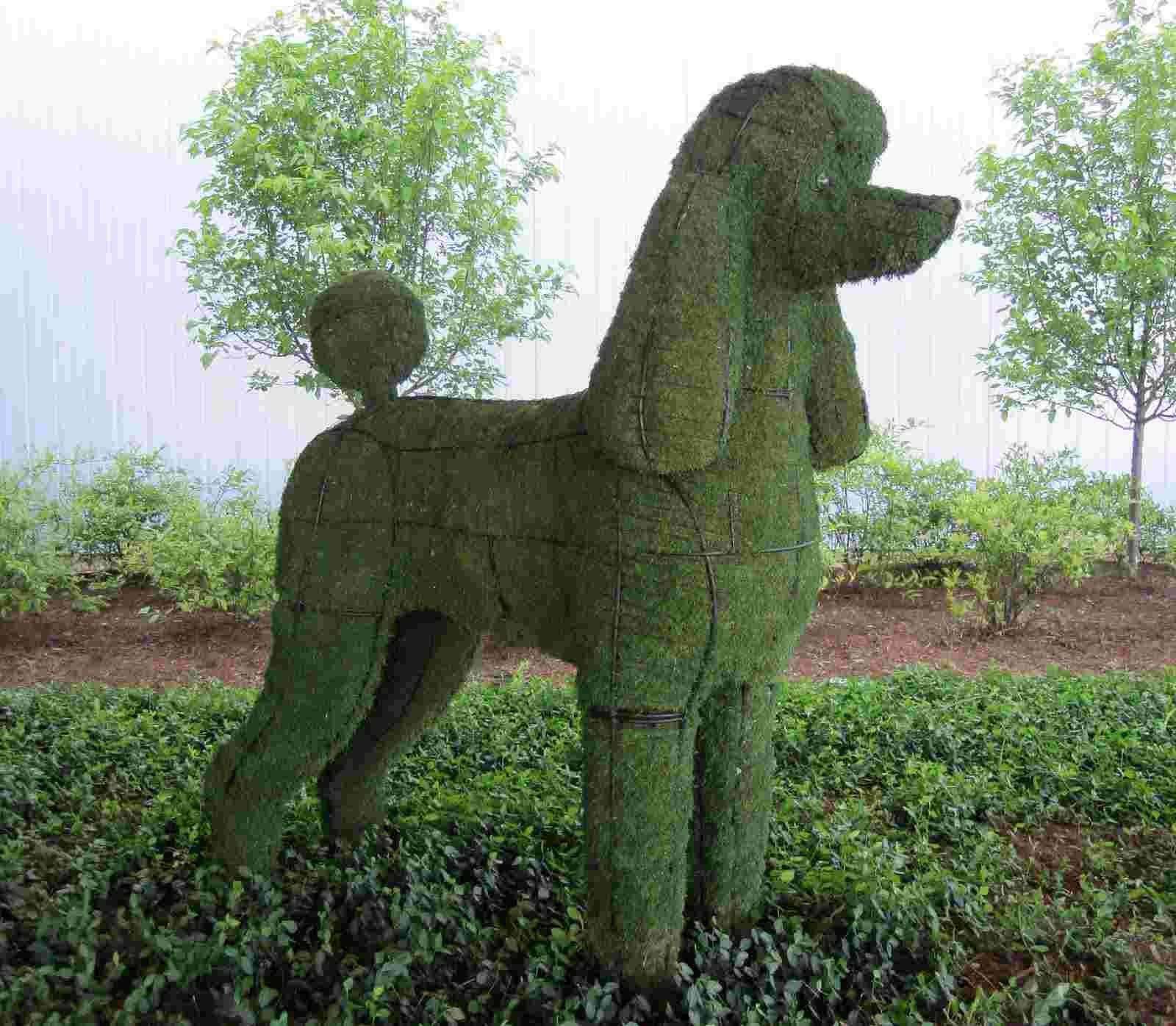 art topiaire chien idée décorer son jardin