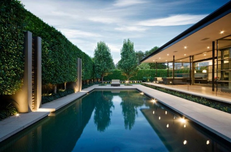 haie de troène idée design extérieur piscine terrasse