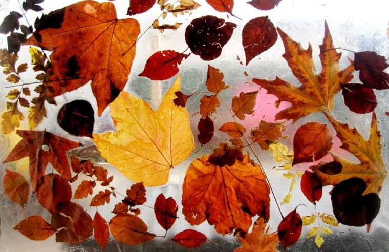 décoration automne idée original feuilles idées diy