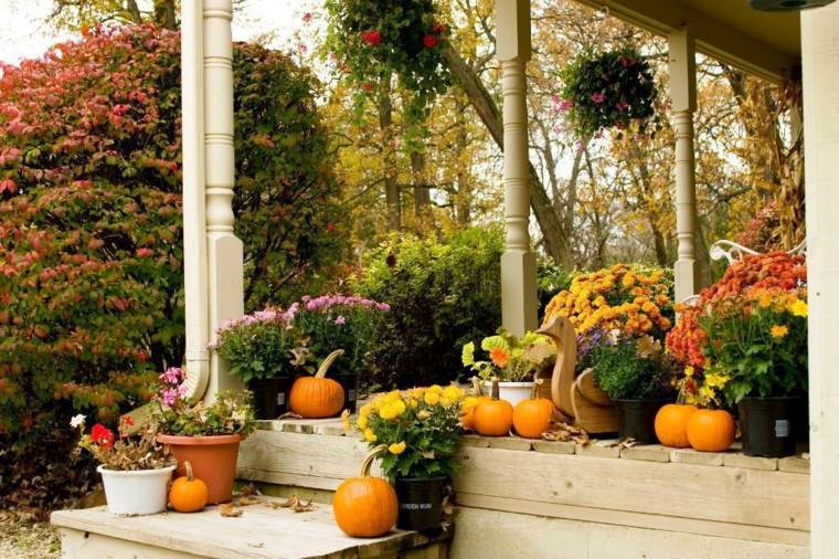 décorer espace extérieur citrouille fleurs déco terrasse automne