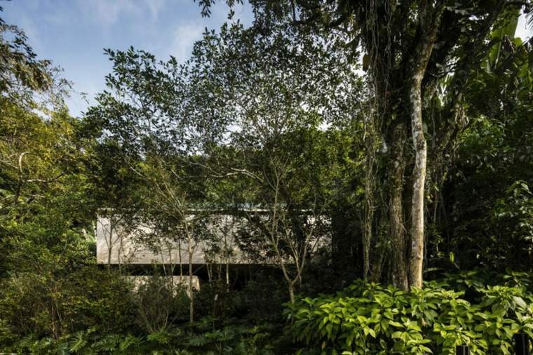 maison avec piscine organique blottie forêt
