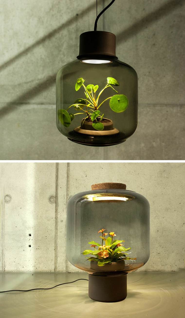 decoration-interieure-lampe-plante
