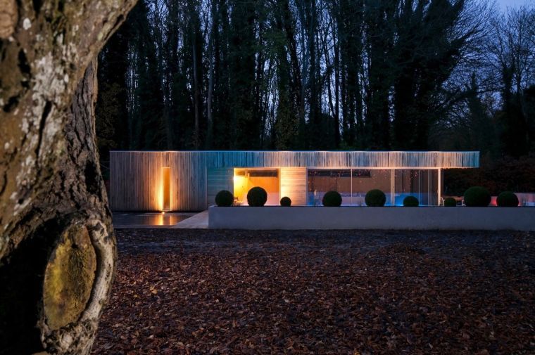 maison piscine extension design bois avec jardin 