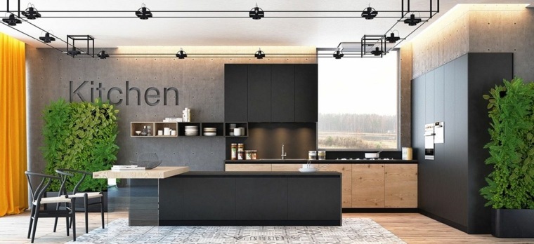 modèle de cuisine noire et bois plantes interieur meubles