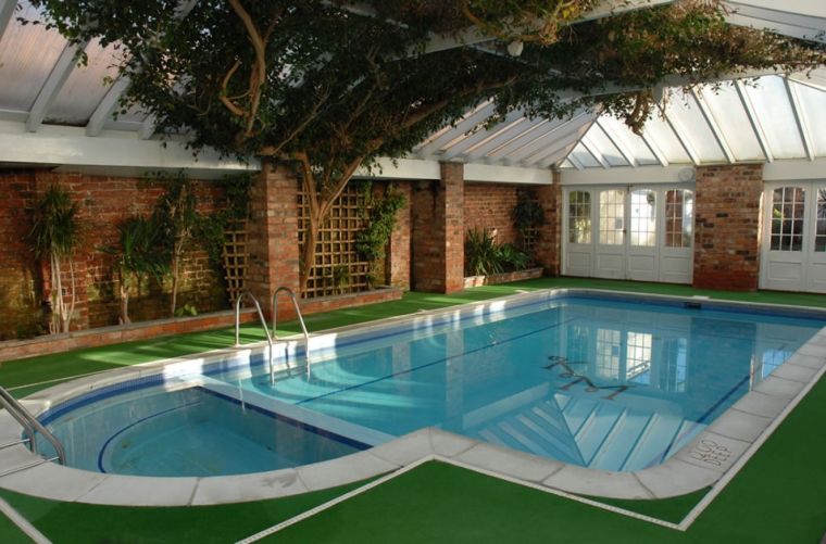 photos piscine couverte decoration terrasse arbre interieur