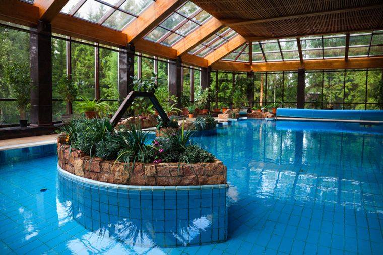 piscine intérieur plantes idee deco maison interieur 