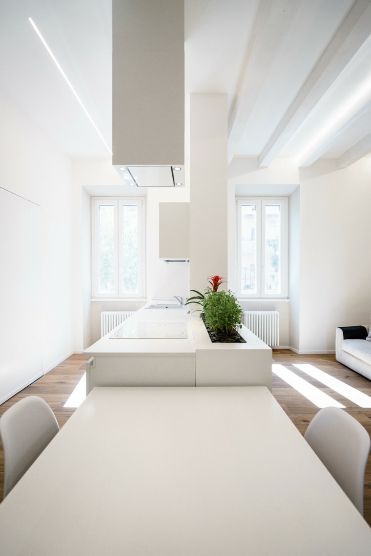 cuisine design moderne idée salle à manger chaises plantes déco