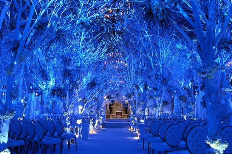 mariage hiver forêt bleuâtre fantastique