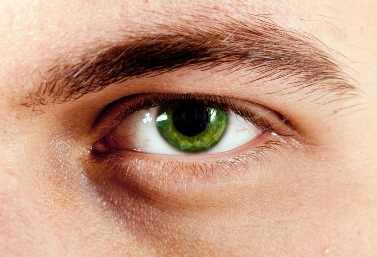 couleur de cheveux pour yeux vert herbe