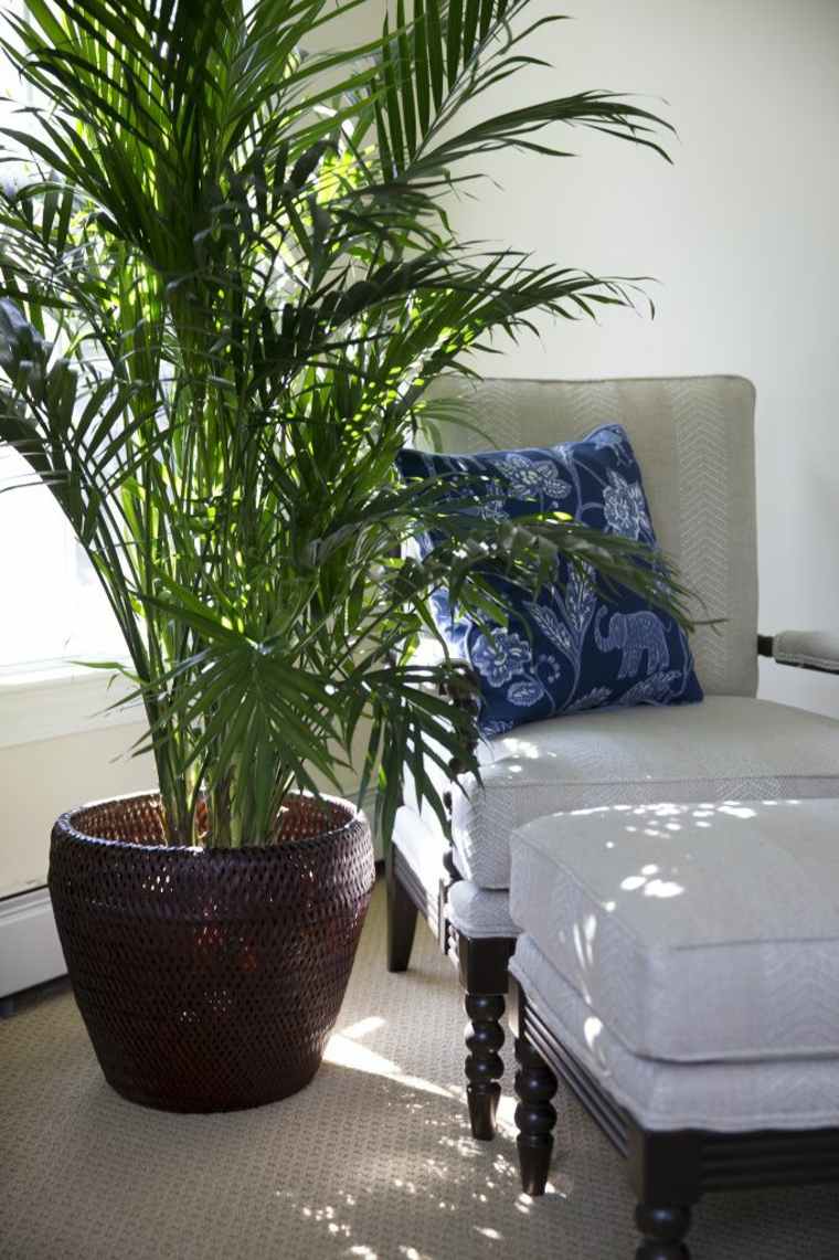 design intérieur chambre à coucher plante palme lit idées déco