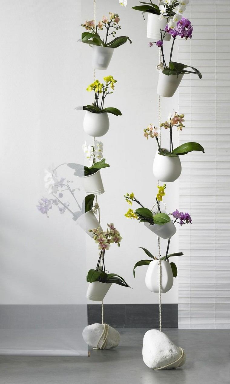 idée déco intérieur plante appartement orchidée suspension pots