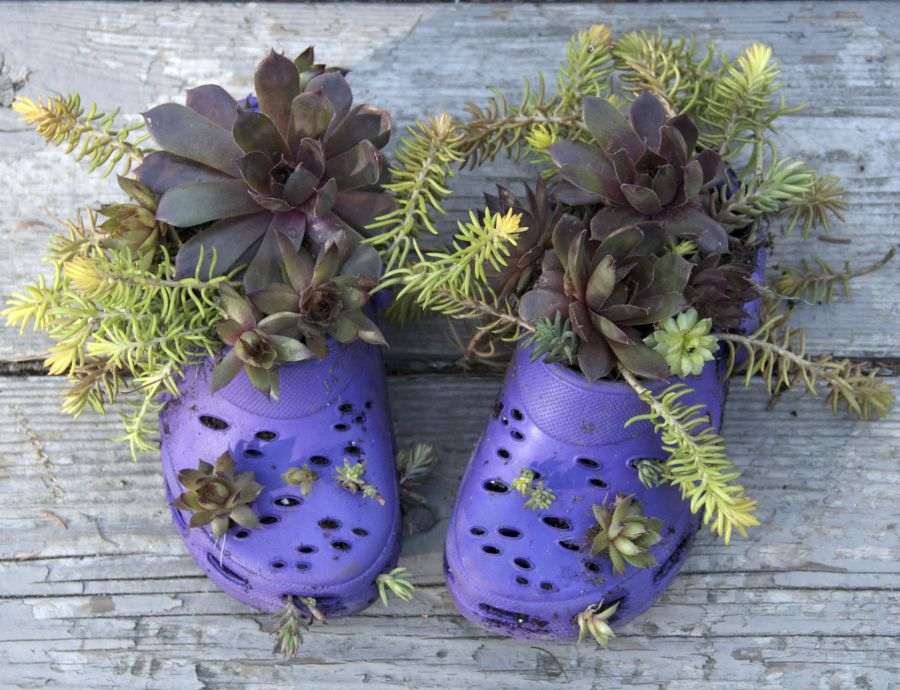 chaussures fleurs verts pots terrasse deco