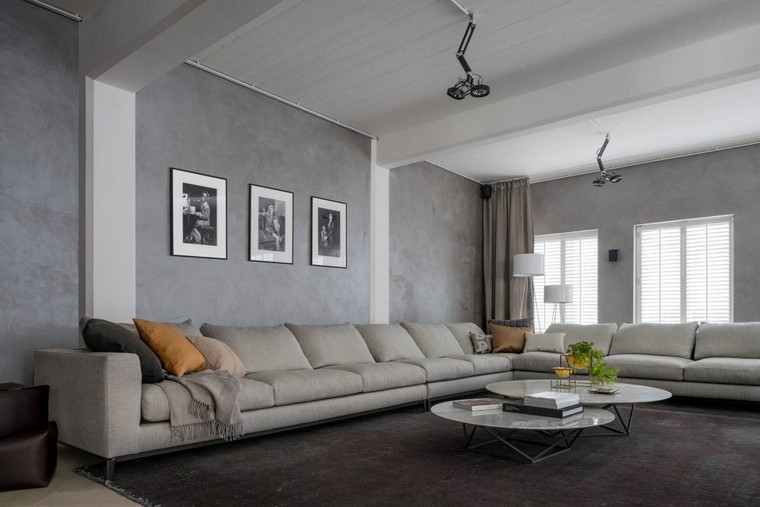 design intérieur déco mur idée canapé gris coussins décorer espace