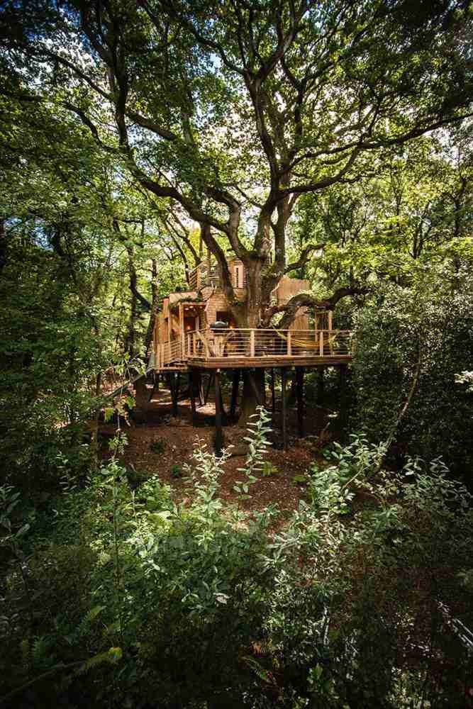 hotel cabane dans les arbres design unique
