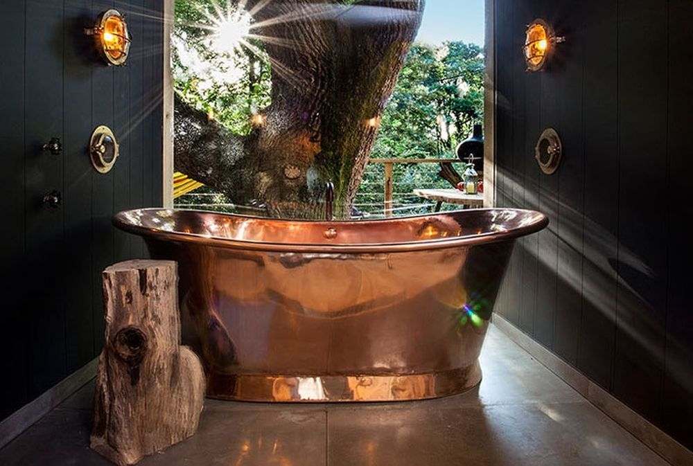 nature hotel bois arbre salle de bains