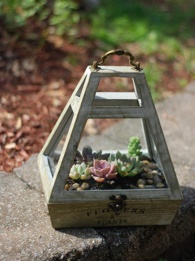 comment créer un mini jardin miniature intérieur terrarium