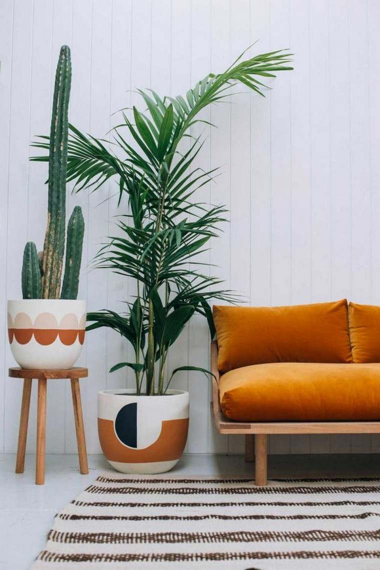 palmier intérieur plante appartement intérieur facile entretien