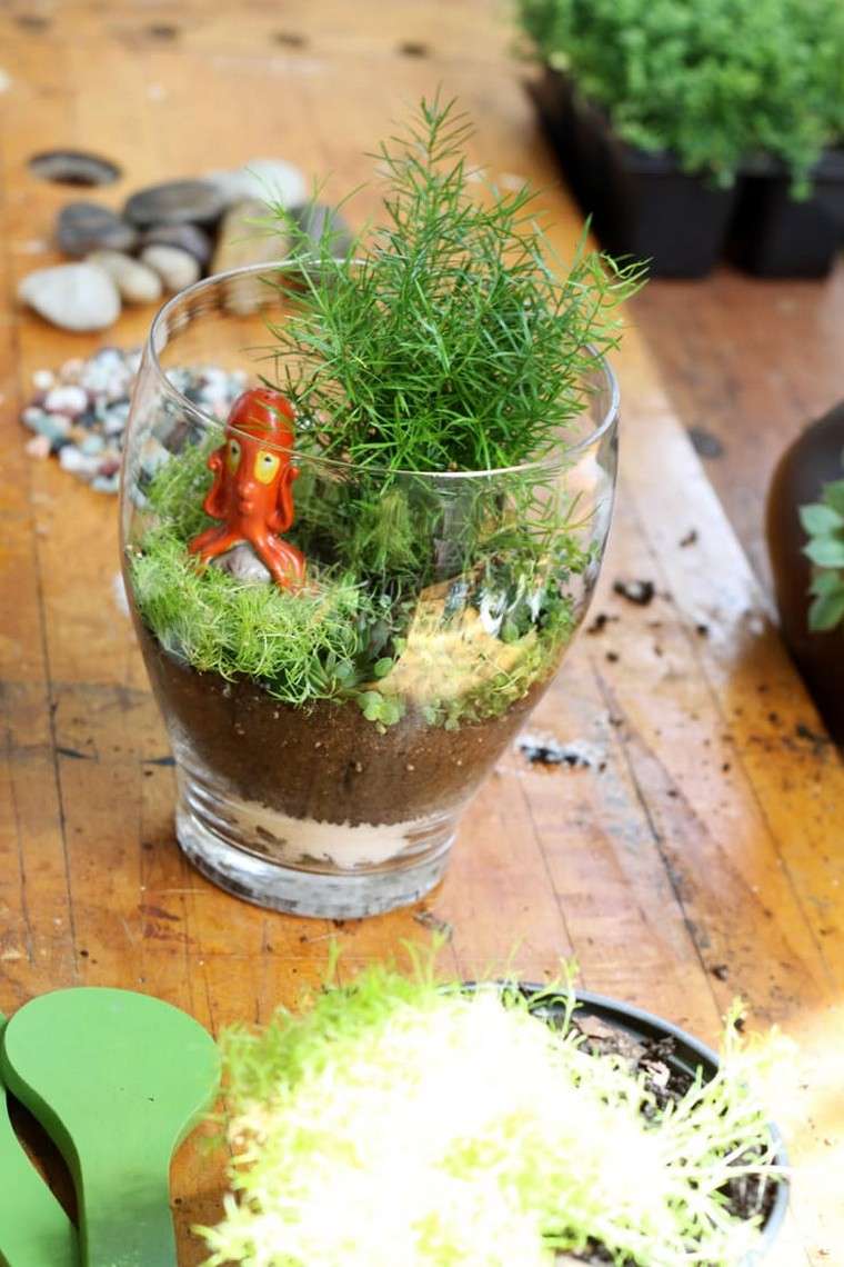 terrarium idée verre contenant récipient déco terrarium plante
