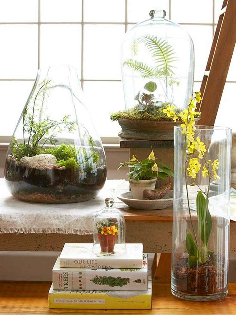 idée mini jardin intérieur plante choix mini jardin terrarium diy