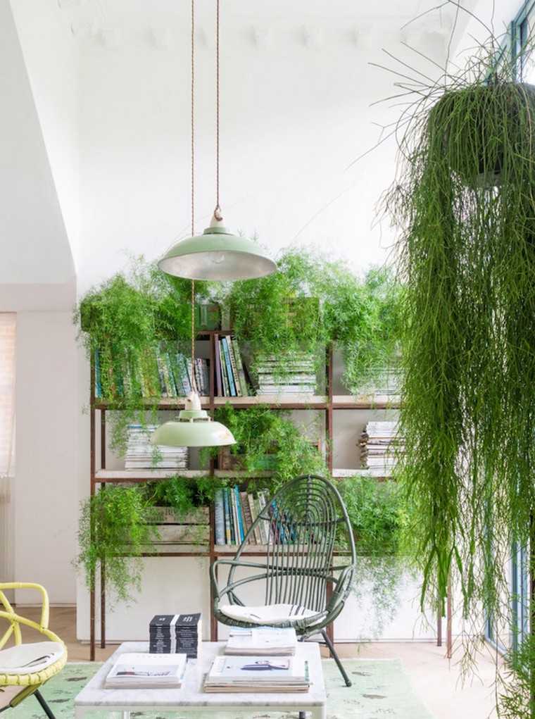 feng shui déco plante intérieur idée fauteuil salon luminaire suspension feng shui